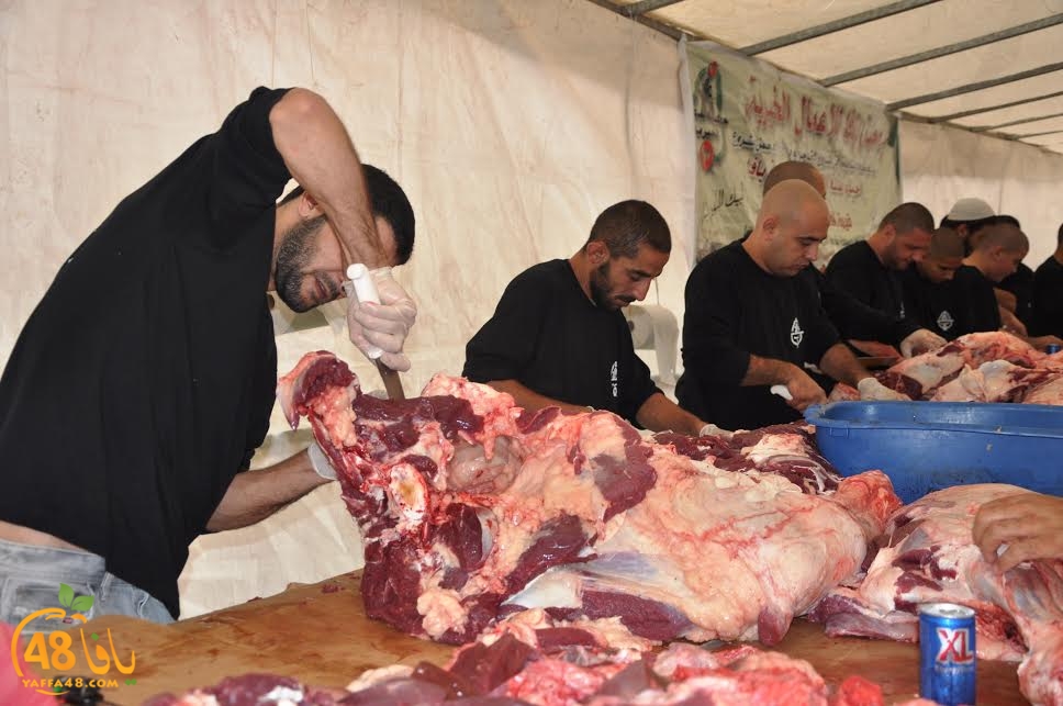 ada7auwqeqwy (1).jpg